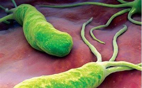 辣椒素能抑制幽门螺旋杆菌生长吗 杀了幽门螺旋杆菌还会被传染吗